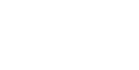 Game Developers Choice Awards Winner logo